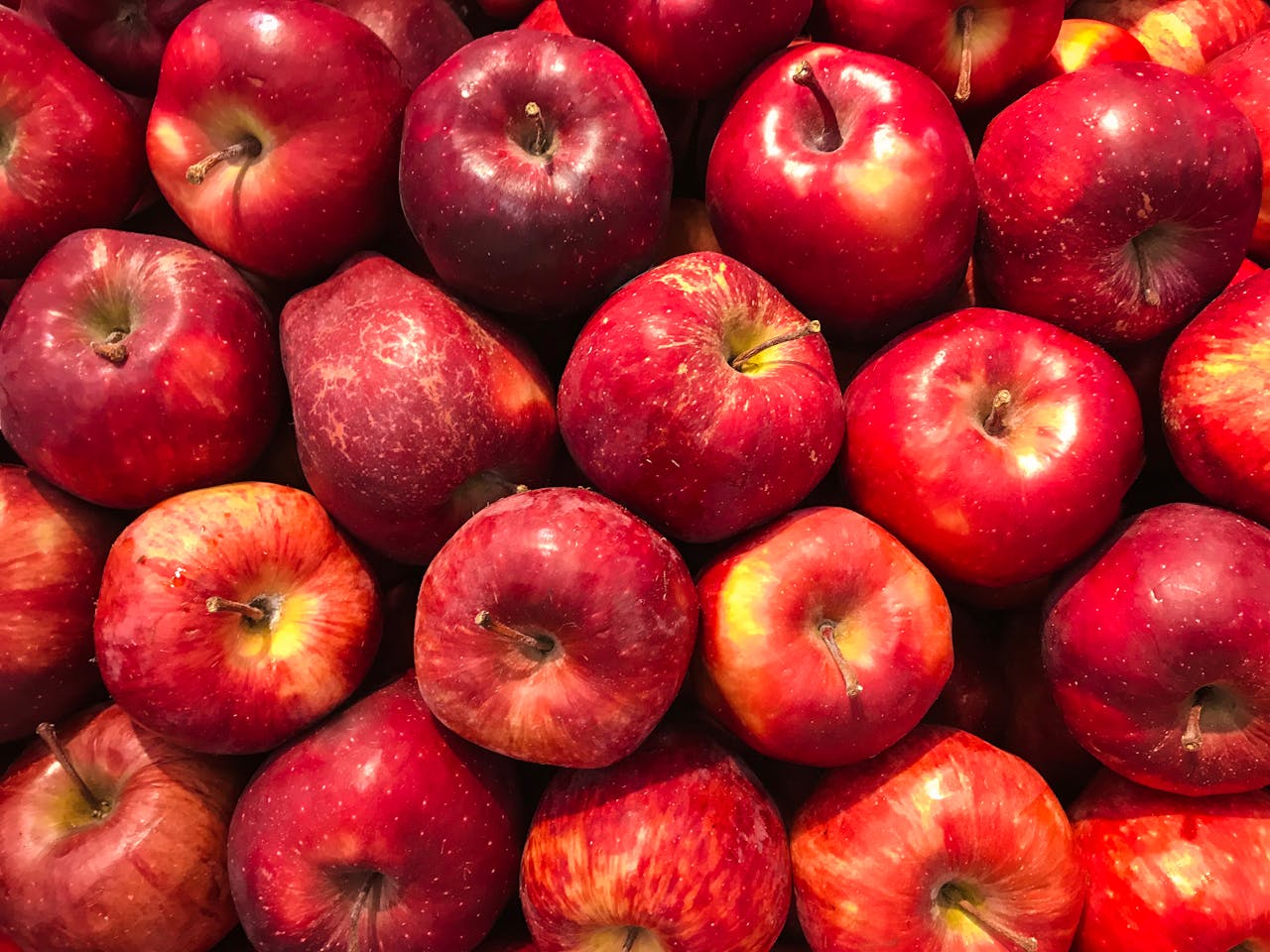 Appels plukken en appelplukdagen 2025 in Groningen