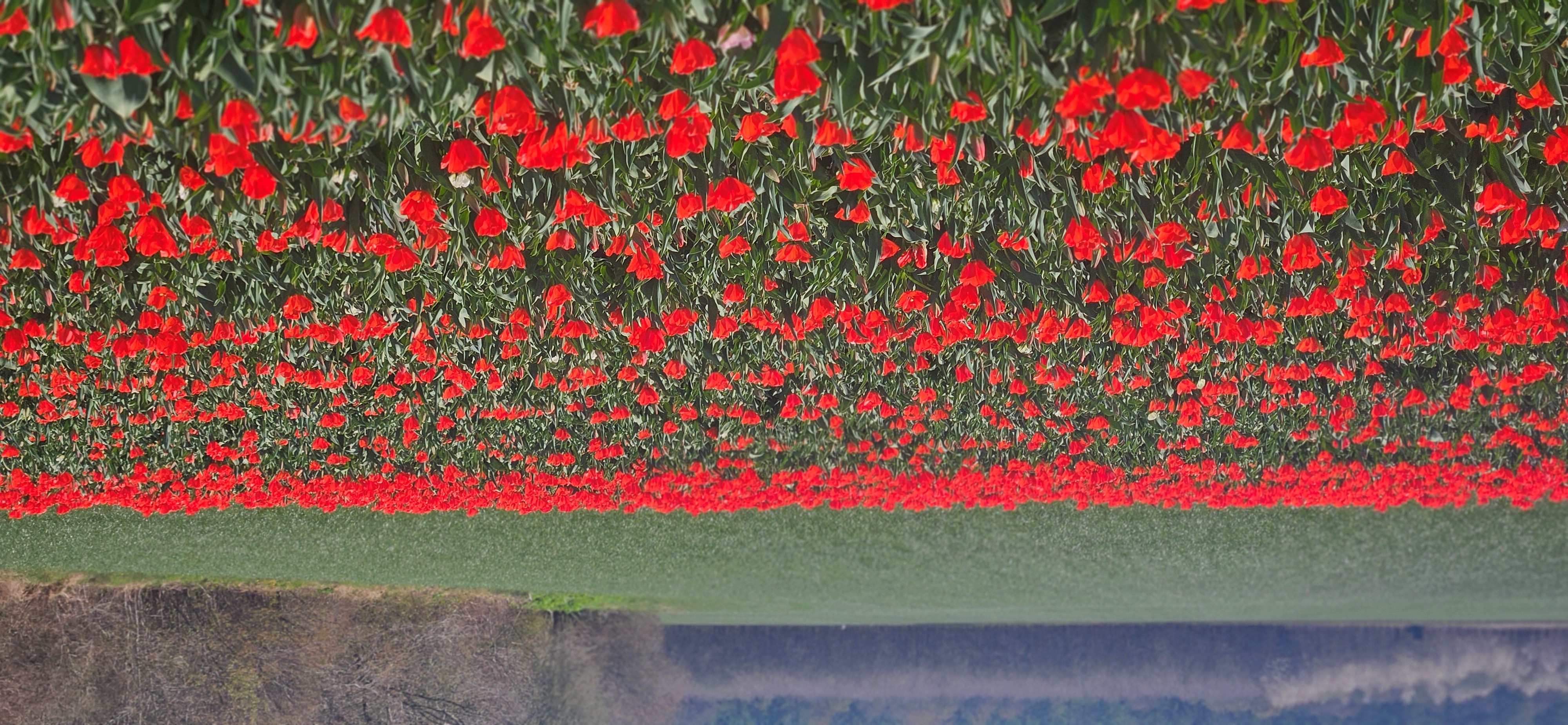 Meivakantie in Groningen - de leukste activiteiten voor het gezin