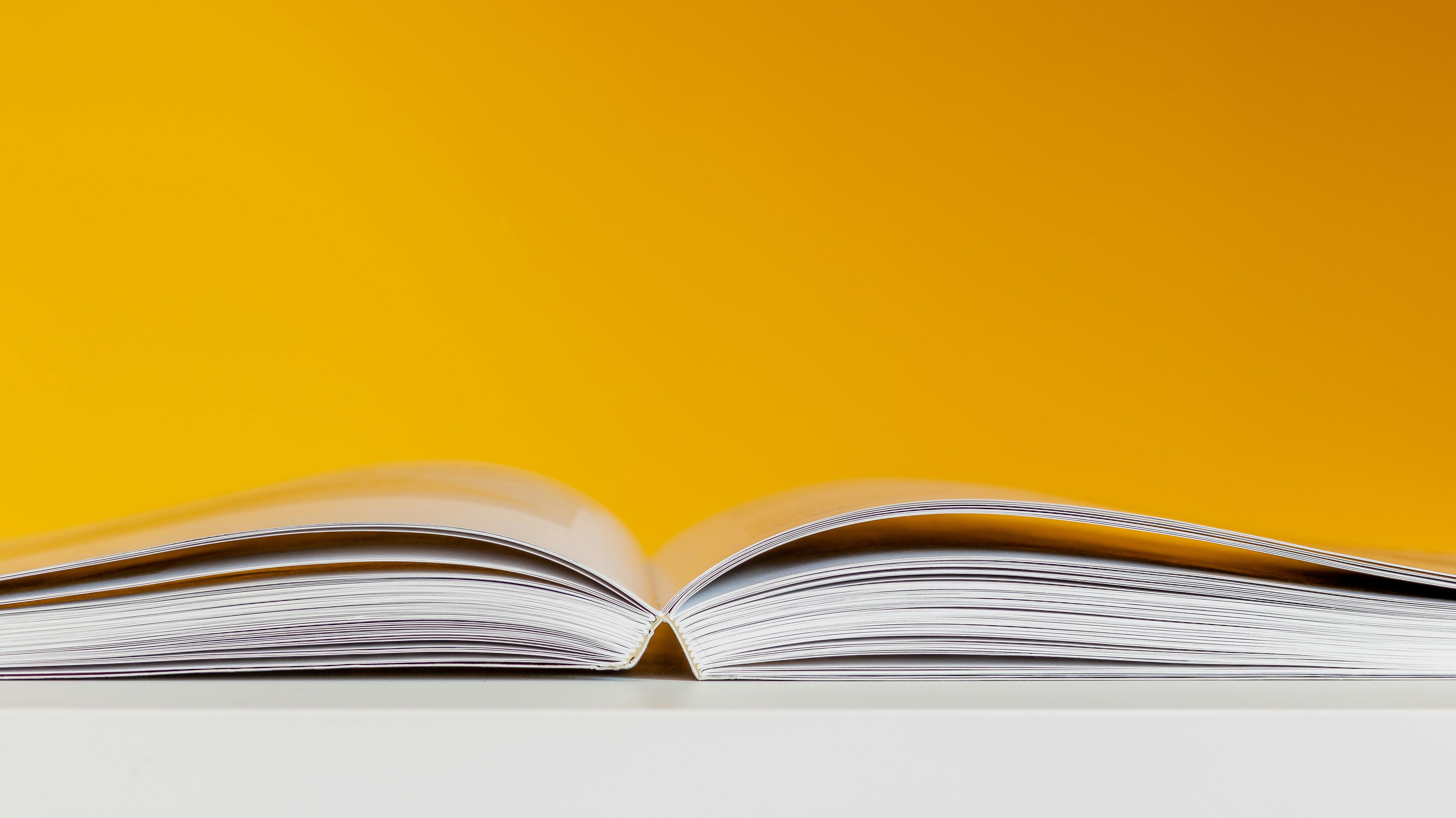 Libris Literatuur Prijs 2025 Groningen